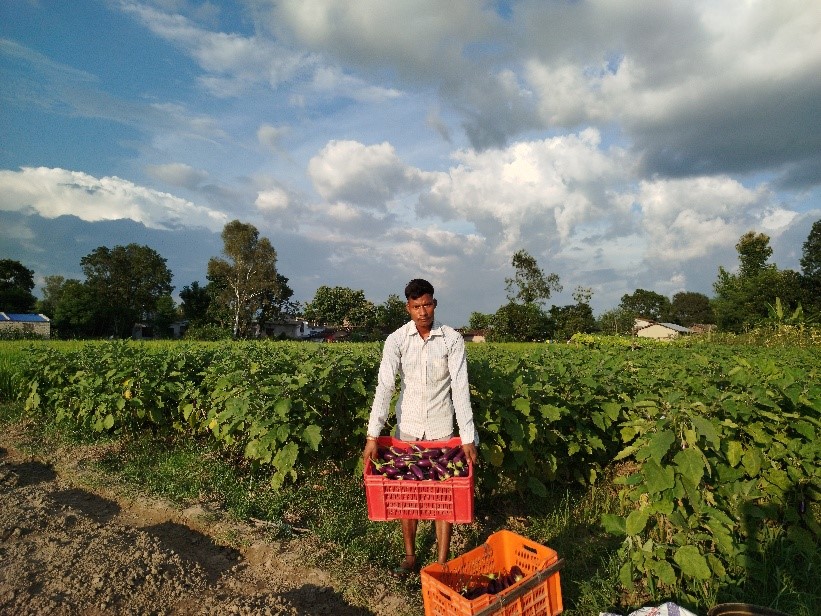 Puran Rana receiving support for commercial vegetable farming